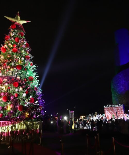 ¿Cómo llegó el árbol de Navidad a México?