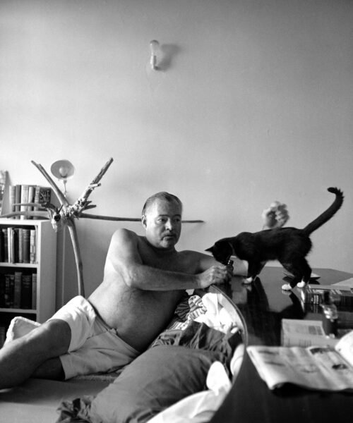 Ernest Hemingway terminó con su vida buscándole seis dedos al gato