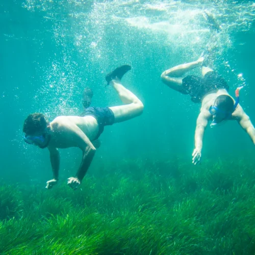 La música en directo continúa con su crecimiento imparable: llegan la moda de los ¡conciertos submarinos!