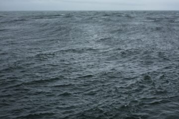 Wolfgang Tillmans, historia de las penúltimas cosas