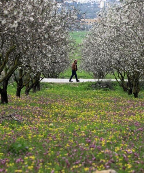 Lo que hace que merezca la pena