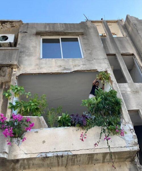 Konvent, centre cultural i jardí lliure