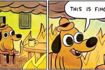 El meme se hace mayor y ayuda a entender este mundo en llamas