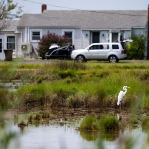 Un nuevo contrato social para afrontar el cambio climático