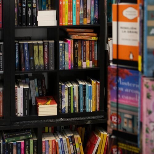 Un verano de letras: ‘Babelia’ te recomienda 60 lecturas para sumergirte en vacaciones