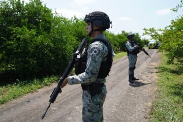El narco devora el aguacate mexicano