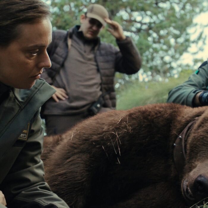 Movistar Plus pone fecha de estreno a ‘Matar a un oso’, su thriller basado en la muerte del oso Cachou